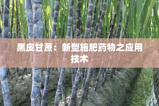 黑皮甘蔗:新型施肥藥物之應用技術 黑皮甘蔗:新型施肥藥物之應用技術